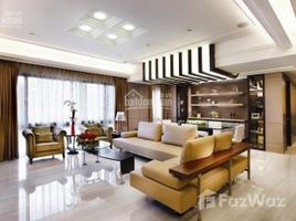 Studio Chung cư for rent at Bàu Cát II, Phường 10, Tân Bình