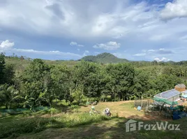  Grundstück zu verkaufen in Takua Thung, Phangnga, Tha Yu, Takua Thung