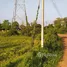  Land for sale in Kamphaeng Phet, Trai Trueng, Mueang Kamphaeng Phet, Kamphaeng Phet