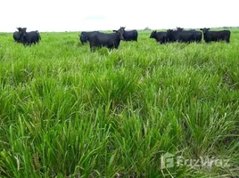  Terreno for sale in Brasil, Belém, Pará, Brasil