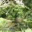  Land for sale in Nong Nam Daeng, Nakhon Ratchasima, Nong Nam Daeng, Pak Chong