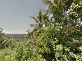 West Nusa Tenggara Gunung Sari Land with Sea View in Gunung Sari N/A 土地 售 