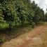  Land for sale in Chanthaburi, Wang Sappharot, Khlung, Chanthaburi