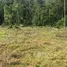  Terreno for sale in Pará, Belém, Pará