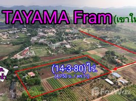  Grundstück zu verkaufen in Pak Chong, Nakhon Ratchasima, Khlong Muang, Pak Chong, Nakhon Ratchasima