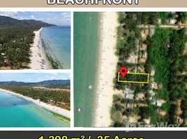  Grundstück zu verkaufen in San Vicente, Mimaropa, San Vicente, Palawan, Mimaropa, Philippinen