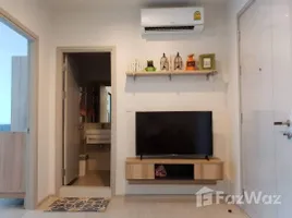 คอนโด 1 ห้องนอน ให้เช่า ในโครงการ ไลฟ์ สุขุมวิท 48, พระโขนง