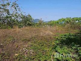 ขายที่ดิน ใน เชิงทะเล, ภูเก็ต, เชิงทะเล