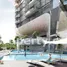1 Bedroom Apartment for rent at Scotts Road, Cairnhill, Newton, Central Region, Singapore
