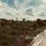  Land for sale in Khlong Song, Pathum Thani, Khlong Song, Khlong Luang, Pathum Thani, Thailand