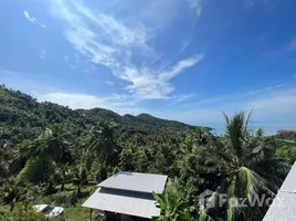 ขายที่ดิน ใน เกาะพะงัน, สุราษฎร์ธานี, เกาะพะงัน