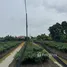  Земельный участок for sale in Bang Yang, Samut Sakhon, Bang Yang, Krathum Baen, Samut Sakhon, Таиланд