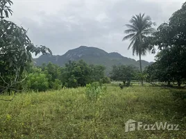  Land for sale in Sam Roi Yot, Hua Hin, Sam Roi Yot, Sam Roi Yot, Prachuap Khiri Khan