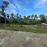  Land for sale in Samui International Airport, Bo Phut, Bo Phut