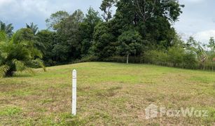 N/A Land for sale in Lo Yung, Phangnga 