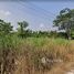  Land for sale in Rayong, Ta Khan, Ban Khai, Rayong