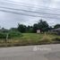  Land for sale in Don Kaeo, Saraphi, Don Kaeo