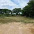  Land for sale in San Klang, Chiang Mai, San Klang
