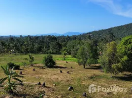 ขายที่ดิน ใน แม่น้ำ, สุราษฎร์ธานี, แม่น้ำ, เกาะสมุย, สุราษฎร์ธานี