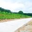  Land for sale in Thailand, Makham Khu, Nikhom Phatthana, Rayong, Thailand