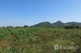  bedroom ที่ดิน for sale at in ประจวบคีรีขันธ์, ไทย