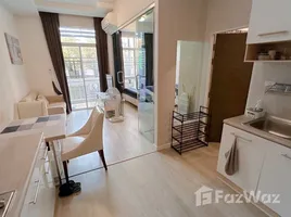 อพาร์ทเม้นท์ 1 ห้องนอน ให้เช่า ในโครงการ มาย ฮิป คอนโด, หนองป่าครั่ง, เมืองเชียงใหม่, เชียงใหม่