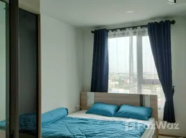 在Chewathai Kaset - Nawamin出售的1 卧室 公寓, Sena Nikhom, 乍都节, 曼谷