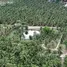  Land for sale in Tha Kha, Samut Songkhram, Tha Kha, Amphawa, Samut Songkhram, Thailand