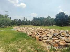  Terrain for sale in Chanthaburi, Makham, Makham, Chanthaburi