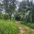  Terreno (Parcela) en venta en Surat Thani, Ang Thong, Koh Samui, Surat Thani