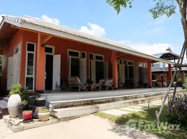 1 Schlafzimmer Haus zu verkaufen in San Sai, Chiang Mai, Nong Yaeng, San Sai, Chiang Mai