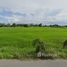  Land for sale in Suphan Buri, Ban Sa, Sam Chuk, Suphan Buri