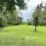  Land for sale in Pococi Limon, Pococi, Limon