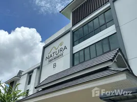 1 Bedroom Condo for rent at Natura Green Residence, Chang Phueak, Mueang Chiang Mai, Chiang Mai, Thailand
