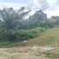  Land for sale in Choeng Thale, Thalang, Choeng Thale