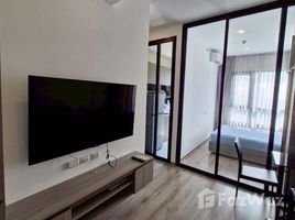 คอนโด 1 ห้องนอน ให้เช่า ในโครงการ ไนท์บริดจ์ ไพร์ม อ่อนนุช, พระโขนงเหนือ