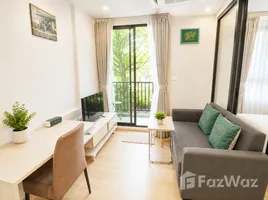 1 Bedroom Condo for rent at Zcape I, Choeng Thale, Thalang
