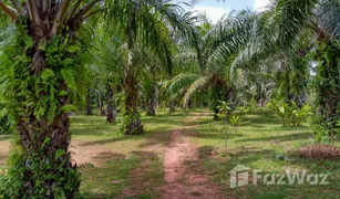 N/A Land for sale in Bang Saphan, Hua Hin 