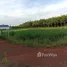  Land for sale in Vietnam, Minh Thanh, Dau Tieng, Binh Duong, Vietnam