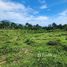 Terrain à vendre à San Felipe De Puerto Plata, Puerto Plata, San Felipe De Puerto Plata
