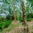  Land for sale in Thalang, Phuket, Pa Khlok, Thalang