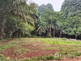  Land for sale in Thailand, Ao Nang, Mueang Krabi, Krabi, Thailand
