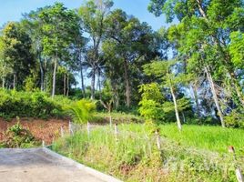 N/A Land for sale in Kathu, Phuket Beautiful Large Land For Sale
