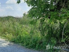  Land for sale in Nakhon Chai Si Nakhon Pathom, Tha Tamnak, Nakhon Chai Si