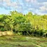  Terreno (Parcela) en venta en La Mulata - Sosua, Sosua, Puerto Plata