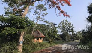 N/A Grundstück zu verkaufen in Thung Samo, Phetchabun 