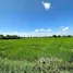  Land for sale in Chaloem Phra Kiat Nakhon Ratchasima, Phraphut, Chaloem Phra Kiat