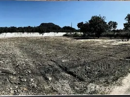  Land for sale in Hin Lek Fai, Hua Hin, Hin Lek Fai, Hua Hin, Prachuap Khiri Khan, Thailand