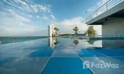 Fotos 3 of the Communal Pool at The Point Pratumnak