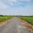 토지을(를) Pathum Thani에서 판매합니다., Bueng Bon, Nong Suea, Pathum Thani
